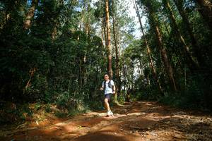 BIB: 
                            <button type="button" onclick="openModal(25004442)" class="btn btn-primary btn-sm float-right btn-popup" data-toggle="modal" data-target=".modal-high-quality">
                        <i class="fas fa-shopping-cart"></i> Add to Cart
                    </button>
                                            <button type="button" onclick="isThisMe(25004442, true)" class="btn btn-success btn-sm float-right btn-popup btn-isme hidden" data-toggle="tooltip" data-placement="bottom" title="นี่คือรูปของคุณใช่ไหม คลิกที่นี่เพื่อเอาเข้าอัลบั้ม">
                        <i class="fas fa-plus"></i> Add to album
                    </button>
                    <button type="button" onclick="isThisMe(25004442, false)" class="btn btn-warning btn-sm float-right btn-popup btn-isnotme hidden">
                        <i class="fas fa-ban"></i> Remove from album
                    </button>