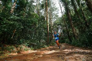 BIB: 
                            <button type="button" onclick="openModal(25003949)" class="btn btn-primary btn-sm float-right btn-popup" data-toggle="modal" data-target=".modal-high-quality">
                        <i class="fas fa-shopping-cart"></i> Add to Cart
                    </button>
                                            <button type="button" onclick="isThisMe(25003949, true)" class="btn btn-success btn-sm float-right btn-popup btn-isme hidden" data-toggle="tooltip" data-placement="bottom" title="นี่คือรูปของคุณใช่ไหม คลิกที่นี่เพื่อเอาเข้าอัลบั้ม">
                        <i class="fas fa-plus"></i> Add to album
                    </button>
                    <button type="button" onclick="isThisMe(25003949, false)" class="btn btn-warning btn-sm float-right btn-popup btn-isnotme hidden">
                        <i class="fas fa-ban"></i> Remove from album
                    </button>