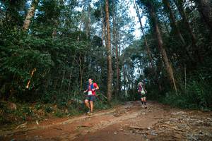 BIB: 
                            <button type="button" onclick="openModal(25004791)" class="btn btn-primary btn-sm float-right btn-popup" data-toggle="modal" data-target=".modal-high-quality">
                        <i class="fas fa-shopping-cart"></i> Add to Cart
                    </button>
                                            <button type="button" onclick="isThisMe(25004791, true)" class="btn btn-success btn-sm float-right btn-popup btn-isme hidden" data-toggle="tooltip" data-placement="bottom" title="นี่คือรูปของคุณใช่ไหม คลิกที่นี่เพื่อเอาเข้าอัลบั้ม">
                        <i class="fas fa-plus"></i> Add to album
                    </button>
                    <button type="button" onclick="isThisMe(25004791, false)" class="btn btn-warning btn-sm float-right btn-popup btn-isnotme hidden">
                        <i class="fas fa-ban"></i> Remove from album
                    </button>