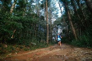 BIB: 
                            <button type="button" onclick="openModal(25004754)" class="btn btn-primary btn-sm float-right btn-popup" data-toggle="modal" data-target=".modal-high-quality">
                        <i class="fas fa-shopping-cart"></i> Add to Cart
                    </button>
                                            <button type="button" onclick="isThisMe(25004754, true)" class="btn btn-success btn-sm float-right btn-popup btn-isme hidden" data-toggle="tooltip" data-placement="bottom" title="นี่คือรูปของคุณใช่ไหม คลิกที่นี่เพื่อเอาเข้าอัลบั้ม">
                        <i class="fas fa-plus"></i> Add to album
                    </button>
                    <button type="button" onclick="isThisMe(25004754, false)" class="btn btn-warning btn-sm float-right btn-popup btn-isnotme hidden">
                        <i class="fas fa-ban"></i> Remove from album
                    </button>