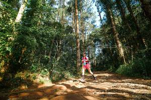 BIB: 
                            <button type="button" onclick="openModal(25004940)" class="btn btn-primary btn-sm float-right btn-popup" data-toggle="modal" data-target=".modal-high-quality">
                        <i class="fas fa-shopping-cart"></i> Add to Cart
                    </button>
                                            <button type="button" onclick="isThisMe(25004940, true)" class="btn btn-success btn-sm float-right btn-popup btn-isme hidden" data-toggle="tooltip" data-placement="bottom" title="นี่คือรูปของคุณใช่ไหม คลิกที่นี่เพื่อเอาเข้าอัลบั้ม">
                        <i class="fas fa-plus"></i> Add to album
                    </button>
                    <button type="button" onclick="isThisMe(25004940, false)" class="btn btn-warning btn-sm float-right btn-popup btn-isnotme hidden">
                        <i class="fas fa-ban"></i> Remove from album
                    </button>