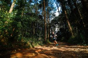 BIB: 
                            <button type="button" onclick="openModal(25005052)" class="btn btn-primary btn-sm float-right btn-popup" data-toggle="modal" data-target=".modal-high-quality">
                        <i class="fas fa-shopping-cart"></i> Add to Cart
                    </button>
                                            <button type="button" onclick="isThisMe(25005052, true)" class="btn btn-success btn-sm float-right btn-popup btn-isme hidden" data-toggle="tooltip" data-placement="bottom" title="นี่คือรูปของคุณใช่ไหม คลิกที่นี่เพื่อเอาเข้าอัลบั้ม">
                        <i class="fas fa-plus"></i> Add to album
                    </button>
                    <button type="button" onclick="isThisMe(25005052, false)" class="btn btn-warning btn-sm float-right btn-popup btn-isnotme hidden">
                        <i class="fas fa-ban"></i> Remove from album
                    </button>