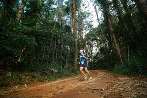 BIB: 
                            <button type="button" onclick="openModal(25004604)" class="btn btn-primary btn-sm float-right btn-popup" data-toggle="modal" data-target=".modal-high-quality">
                        <i class="fas fa-shopping-cart"></i> Add to Cart
                    </button>
                                            <button type="button" onclick="isThisMe(25004604, true)" class="btn btn-success btn-sm float-right btn-popup btn-isme hidden" data-toggle="tooltip" data-placement="bottom" title="นี่คือรูปของคุณใช่ไหม คลิกที่นี่เพื่อเอาเข้าอัลบั้ม">
                        <i class="fas fa-plus"></i> Add to album
                    </button>
                    <button type="button" onclick="isThisMe(25004604, false)" class="btn btn-warning btn-sm float-right btn-popup btn-isnotme hidden">
                        <i class="fas fa-ban"></i> Remove from album
                    </button>