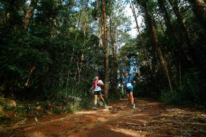 BIB: 
                            <button type="button" onclick="openModal(25004652)" class="btn btn-primary btn-sm float-right btn-popup" data-toggle="modal" data-target=".modal-high-quality">
                        <i class="fas fa-shopping-cart"></i> Add to Cart
                    </button>
                                            <button type="button" onclick="isThisMe(25004652, true)" class="btn btn-success btn-sm float-right btn-popup btn-isme hidden" data-toggle="tooltip" data-placement="bottom" title="นี่คือรูปของคุณใช่ไหม คลิกที่นี่เพื่อเอาเข้าอัลบั้ม">
                        <i class="fas fa-plus"></i> Add to album
                    </button>
                    <button type="button" onclick="isThisMe(25004652, false)" class="btn btn-warning btn-sm float-right btn-popup btn-isnotme hidden">
                        <i class="fas fa-ban"></i> Remove from album
                    </button>