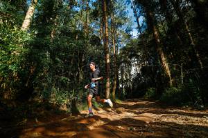 BIB: 
                            <button type="button" onclick="openModal(25005036)" class="btn btn-primary btn-sm float-right btn-popup" data-toggle="modal" data-target=".modal-high-quality">
                        <i class="fas fa-shopping-cart"></i> Add to Cart
                    </button>
                                            <button type="button" onclick="isThisMe(25005036, true)" class="btn btn-success btn-sm float-right btn-popup btn-isme hidden" data-toggle="tooltip" data-placement="bottom" title="นี่คือรูปของคุณใช่ไหม คลิกที่นี่เพื่อเอาเข้าอัลบั้ม">
                        <i class="fas fa-plus"></i> Add to album
                    </button>
                    <button type="button" onclick="isThisMe(25005036, false)" class="btn btn-warning btn-sm float-right btn-popup btn-isnotme hidden">
                        <i class="fas fa-ban"></i> Remove from album
                    </button>