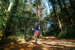 BIB: 
                            <button type="button" onclick="openModal(25004957)" class="btn btn-primary btn-sm float-right btn-popup" data-toggle="modal" data-target=".modal-high-quality">
                        <i class="fas fa-shopping-cart"></i> Add to Cart
                    </button>
                                            <button type="button" onclick="isThisMe(25004957, true)" class="btn btn-success btn-sm float-right btn-popup btn-isme hidden" data-toggle="tooltip" data-placement="bottom" title="นี่คือรูปของคุณใช่ไหม คลิกที่นี่เพื่อเอาเข้าอัลบั้ม">
                        <i class="fas fa-plus"></i> Add to album
                    </button>
                    <button type="button" onclick="isThisMe(25004957, false)" class="btn btn-warning btn-sm float-right btn-popup btn-isnotme hidden">
                        <i class="fas fa-ban"></i> Remove from album
                    </button>