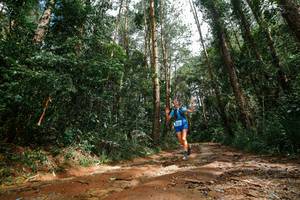 BIB: 
                            <button type="button" onclick="openModal(25003948)" class="btn btn-primary btn-sm float-right btn-popup" data-toggle="modal" data-target=".modal-high-quality">
                        <i class="fas fa-shopping-cart"></i> Add to Cart
                    </button>
                                            <button type="button" onclick="isThisMe(25003948, true)" class="btn btn-success btn-sm float-right btn-popup btn-isme hidden" data-toggle="tooltip" data-placement="bottom" title="นี่คือรูปของคุณใช่ไหม คลิกที่นี่เพื่อเอาเข้าอัลบั้ม">
                        <i class="fas fa-plus"></i> Add to album
                    </button>
                    <button type="button" onclick="isThisMe(25003948, false)" class="btn btn-warning btn-sm float-right btn-popup btn-isnotme hidden">
                        <i class="fas fa-ban"></i> Remove from album
                    </button>