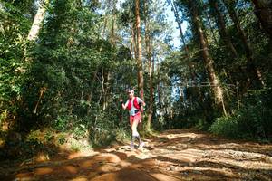 BIB: 
                            <button type="button" onclick="openModal(25004942)" class="btn btn-primary btn-sm float-right btn-popup" data-toggle="modal" data-target=".modal-high-quality">
                        <i class="fas fa-shopping-cart"></i> Add to Cart
                    </button>
                                            <button type="button" onclick="isThisMe(25004942, true)" class="btn btn-success btn-sm float-right btn-popup btn-isme hidden" data-toggle="tooltip" data-placement="bottom" title="นี่คือรูปของคุณใช่ไหม คลิกที่นี่เพื่อเอาเข้าอัลบั้ม">
                        <i class="fas fa-plus"></i> Add to album
                    </button>
                    <button type="button" onclick="isThisMe(25004942, false)" class="btn btn-warning btn-sm float-right btn-popup btn-isnotme hidden">
                        <i class="fas fa-ban"></i> Remove from album
                    </button>