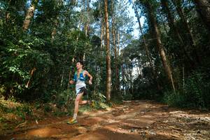 BIB: 
                            <button type="button" onclick="openModal(25004696)" class="btn btn-primary btn-sm float-right btn-popup" data-toggle="modal" data-target=".modal-high-quality">
                        <i class="fas fa-shopping-cart"></i> Add to Cart
                    </button>
                                            <button type="button" onclick="isThisMe(25004696, true)" class="btn btn-success btn-sm float-right btn-popup btn-isme hidden" data-toggle="tooltip" data-placement="bottom" title="นี่คือรูปของคุณใช่ไหม คลิกที่นี่เพื่อเอาเข้าอัลบั้ม">
                        <i class="fas fa-plus"></i> Add to album
                    </button>
                    <button type="button" onclick="isThisMe(25004696, false)" class="btn btn-warning btn-sm float-right btn-popup btn-isnotme hidden">
                        <i class="fas fa-ban"></i> Remove from album
                    </button>