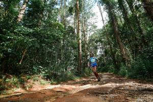 BIB: 
                            <button type="button" onclick="openModal(25003824)" class="btn btn-primary btn-sm float-right btn-popup" data-toggle="modal" data-target=".modal-high-quality">
                        <i class="fas fa-shopping-cart"></i> Add to Cart
                    </button>
                                            <button type="button" onclick="isThisMe(25003824, true)" class="btn btn-success btn-sm float-right btn-popup btn-isme hidden" data-toggle="tooltip" data-placement="bottom" title="นี่คือรูปของคุณใช่ไหม คลิกที่นี่เพื่อเอาเข้าอัลบั้ม">
                        <i class="fas fa-plus"></i> Add to album
                    </button>
                    <button type="button" onclick="isThisMe(25003824, false)" class="btn btn-warning btn-sm float-right btn-popup btn-isnotme hidden">
                        <i class="fas fa-ban"></i> Remove from album
                    </button>