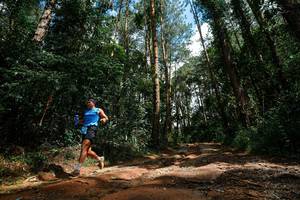 BIB: 
                            <button type="button" onclick="openModal(25003812)" class="btn btn-primary btn-sm float-right btn-popup" data-toggle="modal" data-target=".modal-high-quality">
                        <i class="fas fa-shopping-cart"></i> Add to Cart
                    </button>
                                            <button type="button" onclick="isThisMe(25003812, true)" class="btn btn-success btn-sm float-right btn-popup btn-isme hidden" data-toggle="tooltip" data-placement="bottom" title="นี่คือรูปของคุณใช่ไหม คลิกที่นี่เพื่อเอาเข้าอัลบั้ม">
                        <i class="fas fa-plus"></i> Add to album
                    </button>
                    <button type="button" onclick="isThisMe(25003812, false)" class="btn btn-warning btn-sm float-right btn-popup btn-isnotme hidden">
                        <i class="fas fa-ban"></i> Remove from album
                    </button>