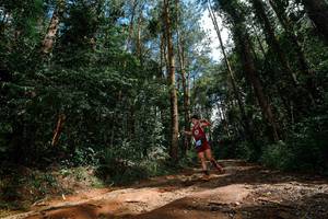 BIB: 
                            <button type="button" onclick="openModal(25003745)" class="btn btn-primary btn-sm float-right btn-popup" data-toggle="modal" data-target=".modal-high-quality">
                        <i class="fas fa-shopping-cart"></i> Add to Cart
                    </button>
                                            <button type="button" onclick="isThisMe(25003745, true)" class="btn btn-success btn-sm float-right btn-popup btn-isme hidden" data-toggle="tooltip" data-placement="bottom" title="นี่คือรูปของคุณใช่ไหม คลิกที่นี่เพื่อเอาเข้าอัลบั้ม">
                        <i class="fas fa-plus"></i> Add to album
                    </button>
                    <button type="button" onclick="isThisMe(25003745, false)" class="btn btn-warning btn-sm float-right btn-popup btn-isnotme hidden">
                        <i class="fas fa-ban"></i> Remove from album
                    </button>