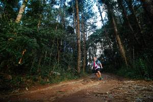 BIB: 
                            <button type="button" onclick="openModal(25005092)" class="btn btn-primary btn-sm float-right btn-popup" data-toggle="modal" data-target=".modal-high-quality">
                        <i class="fas fa-shopping-cart"></i> Add to Cart
                    </button>
                                            <button type="button" onclick="isThisMe(25005092, true)" class="btn btn-success btn-sm float-right btn-popup btn-isme hidden" data-toggle="tooltip" data-placement="bottom" title="นี่คือรูปของคุณใช่ไหม คลิกที่นี่เพื่อเอาเข้าอัลบั้ม">
                        <i class="fas fa-plus"></i> Add to album
                    </button>
                    <button type="button" onclick="isThisMe(25005092, false)" class="btn btn-warning btn-sm float-right btn-popup btn-isnotme hidden">
                        <i class="fas fa-ban"></i> Remove from album
                    </button>