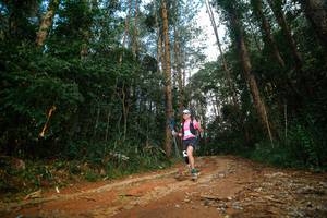 BIB: 
                            <button type="button" onclick="openModal(25004614)" class="btn btn-primary btn-sm float-right btn-popup" data-toggle="modal" data-target=".modal-high-quality">
                        <i class="fas fa-shopping-cart"></i> Add to Cart
                    </button>
                                            <button type="button" onclick="isThisMe(25004614, true)" class="btn btn-success btn-sm float-right btn-popup btn-isme hidden" data-toggle="tooltip" data-placement="bottom" title="นี่คือรูปของคุณใช่ไหม คลิกที่นี่เพื่อเอาเข้าอัลบั้ม">
                        <i class="fas fa-plus"></i> Add to album
                    </button>
                    <button type="button" onclick="isThisMe(25004614, false)" class="btn btn-warning btn-sm float-right btn-popup btn-isnotme hidden">
                        <i class="fas fa-ban"></i> Remove from album
                    </button>