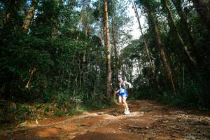 BIB: 
                            <button type="button" onclick="openModal(25004427)" class="btn btn-primary btn-sm float-right btn-popup" data-toggle="modal" data-target=".modal-high-quality">
                        <i class="fas fa-shopping-cart"></i> Add to Cart
                    </button>
                                            <button type="button" onclick="isThisMe(25004427, true)" class="btn btn-success btn-sm float-right btn-popup btn-isme hidden" data-toggle="tooltip" data-placement="bottom" title="นี่คือรูปของคุณใช่ไหม คลิกที่นี่เพื่อเอาเข้าอัลบั้ม">
                        <i class="fas fa-plus"></i> Add to album
                    </button>
                    <button type="button" onclick="isThisMe(25004427, false)" class="btn btn-warning btn-sm float-right btn-popup btn-isnotme hidden">
                        <i class="fas fa-ban"></i> Remove from album
                    </button>