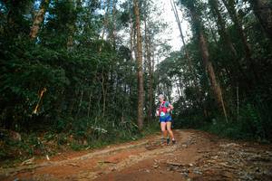 BIB: 
                            <button type="button" onclick="openModal(25004353)" class="btn btn-primary btn-sm float-right btn-popup" data-toggle="modal" data-target=".modal-high-quality">
                        <i class="fas fa-shopping-cart"></i> Add to Cart
                    </button>
                                            <button type="button" onclick="isThisMe(25004353, true)" class="btn btn-success btn-sm float-right btn-popup btn-isme hidden" data-toggle="tooltip" data-placement="bottom" title="นี่คือรูปของคุณใช่ไหม คลิกที่นี่เพื่อเอาเข้าอัลบั้ม">
                        <i class="fas fa-plus"></i> Add to album
                    </button>
                    <button type="button" onclick="isThisMe(25004353, false)" class="btn btn-warning btn-sm float-right btn-popup btn-isnotme hidden">
                        <i class="fas fa-ban"></i> Remove from album
                    </button>