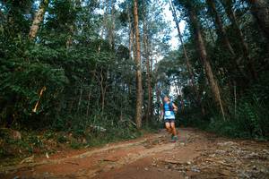 BIB: 
                            <button type="button" onclick="openModal(25004755)" class="btn btn-primary btn-sm float-right btn-popup" data-toggle="modal" data-target=".modal-high-quality">
                        <i class="fas fa-shopping-cart"></i> Add to Cart
                    </button>
                                            <button type="button" onclick="isThisMe(25004755, true)" class="btn btn-success btn-sm float-right btn-popup btn-isme hidden" data-toggle="tooltip" data-placement="bottom" title="นี่คือรูปของคุณใช่ไหม คลิกที่นี่เพื่อเอาเข้าอัลบั้ม">
                        <i class="fas fa-plus"></i> Add to album
                    </button>
                    <button type="button" onclick="isThisMe(25004755, false)" class="btn btn-warning btn-sm float-right btn-popup btn-isnotme hidden">
                        <i class="fas fa-ban"></i> Remove from album
                    </button>