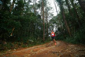 BIB: 
                            <button type="button" onclick="openModal(25004094)" class="btn btn-primary btn-sm float-right btn-popup" data-toggle="modal" data-target=".modal-high-quality">
                        <i class="fas fa-shopping-cart"></i> Add to Cart
                    </button>
                                            <button type="button" onclick="isThisMe(25004094, true)" class="btn btn-success btn-sm float-right btn-popup btn-isme hidden" data-toggle="tooltip" data-placement="bottom" title="นี่คือรูปของคุณใช่ไหม คลิกที่นี่เพื่อเอาเข้าอัลบั้ม">
                        <i class="fas fa-plus"></i> Add to album
                    </button>
                    <button type="button" onclick="isThisMe(25004094, false)" class="btn btn-warning btn-sm float-right btn-popup btn-isnotme hidden">
                        <i class="fas fa-ban"></i> Remove from album
                    </button>