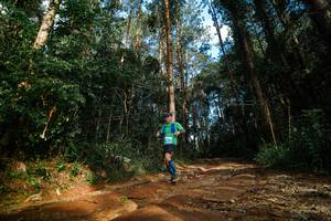 BIB: 
                            <button type="button" onclick="openModal(25004852)" class="btn btn-primary btn-sm float-right btn-popup" data-toggle="modal" data-target=".modal-high-quality">
                        <i class="fas fa-shopping-cart"></i> Add to Cart
                    </button>
                                            <button type="button" onclick="isThisMe(25004852, true)" class="btn btn-success btn-sm float-right btn-popup btn-isme hidden" data-toggle="tooltip" data-placement="bottom" title="นี่คือรูปของคุณใช่ไหม คลิกที่นี่เพื่อเอาเข้าอัลบั้ม">
                        <i class="fas fa-plus"></i> Add to album
                    </button>
                    <button type="button" onclick="isThisMe(25004852, false)" class="btn btn-warning btn-sm float-right btn-popup btn-isnotme hidden">
                        <i class="fas fa-ban"></i> Remove from album
                    </button>