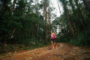 BIB: 
                            <button type="button" onclick="openModal(25004124)" class="btn btn-primary btn-sm float-right btn-popup" data-toggle="modal" data-target=".modal-high-quality">
                        <i class="fas fa-shopping-cart"></i> Add to Cart
                    </button>
                                            <button type="button" onclick="isThisMe(25004124, true)" class="btn btn-success btn-sm float-right btn-popup btn-isme hidden" data-toggle="tooltip" data-placement="bottom" title="นี่คือรูปของคุณใช่ไหม คลิกที่นี่เพื่อเอาเข้าอัลบั้ม">
                        <i class="fas fa-plus"></i> Add to album
                    </button>
                    <button type="button" onclick="isThisMe(25004124, false)" class="btn btn-warning btn-sm float-right btn-popup btn-isnotme hidden">
                        <i class="fas fa-ban"></i> Remove from album
                    </button>