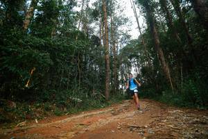 BIB: 
                            <button type="button" onclick="openModal(25004539)" class="btn btn-primary btn-sm float-right btn-popup" data-toggle="modal" data-target=".modal-high-quality">
                        <i class="fas fa-shopping-cart"></i> Add to Cart
                    </button>
                                            <button type="button" onclick="isThisMe(25004539, true)" class="btn btn-success btn-sm float-right btn-popup btn-isme hidden" data-toggle="tooltip" data-placement="bottom" title="นี่คือรูปของคุณใช่ไหม คลิกที่นี่เพื่อเอาเข้าอัลบั้ม">
                        <i class="fas fa-plus"></i> Add to album
                    </button>
                    <button type="button" onclick="isThisMe(25004539, false)" class="btn btn-warning btn-sm float-right btn-popup btn-isnotme hidden">
                        <i class="fas fa-ban"></i> Remove from album
                    </button>