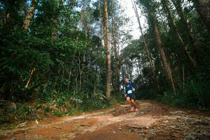 BIB: 
                            <button type="button" onclick="openModal(25004300)" class="btn btn-primary btn-sm float-right btn-popup" data-toggle="modal" data-target=".modal-high-quality">
                        <i class="fas fa-shopping-cart"></i> Add to Cart
                    </button>
                                            <button type="button" onclick="isThisMe(25004300, true)" class="btn btn-success btn-sm float-right btn-popup btn-isme hidden" data-toggle="tooltip" data-placement="bottom" title="นี่คือรูปของคุณใช่ไหม คลิกที่นี่เพื่อเอาเข้าอัลบั้ม">
                        <i class="fas fa-plus"></i> Add to album
                    </button>
                    <button type="button" onclick="isThisMe(25004300, false)" class="btn btn-warning btn-sm float-right btn-popup btn-isnotme hidden">
                        <i class="fas fa-ban"></i> Remove from album
                    </button>