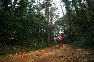 BIB: 
                            <button type="button" onclick="openModal(25004093)" class="btn btn-primary btn-sm float-right btn-popup" data-toggle="modal" data-target=".modal-high-quality">
                        <i class="fas fa-shopping-cart"></i> Add to Cart
                    </button>
                                            <button type="button" onclick="isThisMe(25004093, true)" class="btn btn-success btn-sm float-right btn-popup btn-isme hidden" data-toggle="tooltip" data-placement="bottom" title="นี่คือรูปของคุณใช่ไหม คลิกที่นี่เพื่อเอาเข้าอัลบั้ม">
                        <i class="fas fa-plus"></i> Add to album
                    </button>
                    <button type="button" onclick="isThisMe(25004093, false)" class="btn btn-warning btn-sm float-right btn-popup btn-isnotme hidden">
                        <i class="fas fa-ban"></i> Remove from album
                    </button>