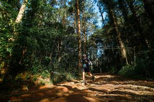 BIB: 
                            <button type="button" onclick="openModal(25004970)" class="btn btn-primary btn-sm float-right btn-popup" data-toggle="modal" data-target=".modal-high-quality">
                        <i class="fas fa-shopping-cart"></i> Add to Cart
                    </button>
                                            <button type="button" onclick="isThisMe(25004970, true)" class="btn btn-success btn-sm float-right btn-popup btn-isme hidden" data-toggle="tooltip" data-placement="bottom" title="นี่คือรูปของคุณใช่ไหม คลิกที่นี่เพื่อเอาเข้าอัลบั้ม">
                        <i class="fas fa-plus"></i> Add to album
                    </button>
                    <button type="button" onclick="isThisMe(25004970, false)" class="btn btn-warning btn-sm float-right btn-popup btn-isnotme hidden">
                        <i class="fas fa-ban"></i> Remove from album
                    </button>