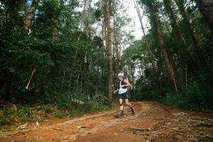 BIB: 
                            <button type="button" onclick="openModal(25004186)" class="btn btn-primary btn-sm float-right btn-popup" data-toggle="modal" data-target=".modal-high-quality">
                        <i class="fas fa-shopping-cart"></i> Add to Cart
                    </button>
                                            <button type="button" onclick="isThisMe(25004186, true)" class="btn btn-success btn-sm float-right btn-popup btn-isme hidden" data-toggle="tooltip" data-placement="bottom" title="นี่คือรูปของคุณใช่ไหม คลิกที่นี่เพื่อเอาเข้าอัลบั้ม">
                        <i class="fas fa-plus"></i> Add to album
                    </button>
                    <button type="button" onclick="isThisMe(25004186, false)" class="btn btn-warning btn-sm float-right btn-popup btn-isnotme hidden">
                        <i class="fas fa-ban"></i> Remove from album
                    </button>