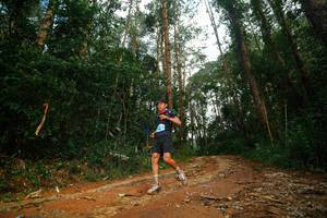 BIB: 
                            <button type="button" onclick="openModal(25004172)" class="btn btn-primary btn-sm float-right btn-popup" data-toggle="modal" data-target=".modal-high-quality">
                        <i class="fas fa-shopping-cart"></i> Add to Cart
                    </button>
                                            <button type="button" onclick="isThisMe(25004172, true)" class="btn btn-success btn-sm float-right btn-popup btn-isme hidden" data-toggle="tooltip" data-placement="bottom" title="นี่คือรูปของคุณใช่ไหม คลิกที่นี่เพื่อเอาเข้าอัลบั้ม">
                        <i class="fas fa-plus"></i> Add to album
                    </button>
                    <button type="button" onclick="isThisMe(25004172, false)" class="btn btn-warning btn-sm float-right btn-popup btn-isnotme hidden">
                        <i class="fas fa-ban"></i> Remove from album
                    </button>