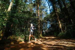 BIB: 
                            <button type="button" onclick="openModal(25004973)" class="btn btn-primary btn-sm float-right btn-popup" data-toggle="modal" data-target=".modal-high-quality">
                        <i class="fas fa-shopping-cart"></i> Add to Cart
                    </button>
                                            <button type="button" onclick="isThisMe(25004973, true)" class="btn btn-success btn-sm float-right btn-popup btn-isme hidden" data-toggle="tooltip" data-placement="bottom" title="นี่คือรูปของคุณใช่ไหม คลิกที่นี่เพื่อเอาเข้าอัลบั้ม">
                        <i class="fas fa-plus"></i> Add to album
                    </button>
                    <button type="button" onclick="isThisMe(25004973, false)" class="btn btn-warning btn-sm float-right btn-popup btn-isnotme hidden">
                        <i class="fas fa-ban"></i> Remove from album
                    </button>