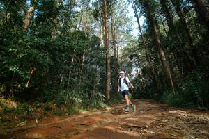 BIB: 
                            <button type="button" onclick="openModal(25004672)" class="btn btn-primary btn-sm float-right btn-popup" data-toggle="modal" data-target=".modal-high-quality">
                        <i class="fas fa-shopping-cart"></i> Add to Cart
                    </button>
                                            <button type="button" onclick="isThisMe(25004672, true)" class="btn btn-success btn-sm float-right btn-popup btn-isme hidden" data-toggle="tooltip" data-placement="bottom" title="นี่คือรูปของคุณใช่ไหม คลิกที่นี่เพื่อเอาเข้าอัลบั้ม">
                        <i class="fas fa-plus"></i> Add to album
                    </button>
                    <button type="button" onclick="isThisMe(25004672, false)" class="btn btn-warning btn-sm float-right btn-popup btn-isnotme hidden">
                        <i class="fas fa-ban"></i> Remove from album
                    </button>