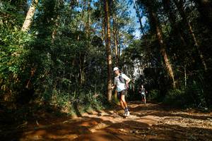 BIB: 
                            <button type="button" onclick="openModal(25005023)" class="btn btn-primary btn-sm float-right btn-popup" data-toggle="modal" data-target=".modal-high-quality">
                        <i class="fas fa-shopping-cart"></i> Add to Cart
                    </button>
                                            <button type="button" onclick="isThisMe(25005023, true)" class="btn btn-success btn-sm float-right btn-popup btn-isme hidden" data-toggle="tooltip" data-placement="bottom" title="นี่คือรูปของคุณใช่ไหม คลิกที่นี่เพื่อเอาเข้าอัลบั้ม">
                        <i class="fas fa-plus"></i> Add to album
                    </button>
                    <button type="button" onclick="isThisMe(25005023, false)" class="btn btn-warning btn-sm float-right btn-popup btn-isnotme hidden">
                        <i class="fas fa-ban"></i> Remove from album
                    </button>