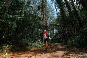 BIB: 
                            <button type="button" onclick="openModal(25003631)" class="btn btn-primary btn-sm float-right btn-popup" data-toggle="modal" data-target=".modal-high-quality">
                        <i class="fas fa-shopping-cart"></i> Add to Cart
                    </button>
                                            <button type="button" onclick="isThisMe(25003631, true)" class="btn btn-success btn-sm float-right btn-popup btn-isme hidden" data-toggle="tooltip" data-placement="bottom" title="นี่คือรูปของคุณใช่ไหม คลิกที่นี่เพื่อเอาเข้าอัลบั้ม">
                        <i class="fas fa-plus"></i> Add to album
                    </button>
                    <button type="button" onclick="isThisMe(25003631, false)" class="btn btn-warning btn-sm float-right btn-popup btn-isnotme hidden">
                        <i class="fas fa-ban"></i> Remove from album
                    </button>