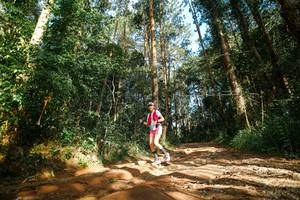 BIB: 
                            <button type="button" onclick="openModal(25004943)" class="btn btn-primary btn-sm float-right btn-popup" data-toggle="modal" data-target=".modal-high-quality">
                        <i class="fas fa-shopping-cart"></i> Add to Cart
                    </button>
                                            <button type="button" onclick="isThisMe(25004943, true)" class="btn btn-success btn-sm float-right btn-popup btn-isme hidden" data-toggle="tooltip" data-placement="bottom" title="นี่คือรูปของคุณใช่ไหม คลิกที่นี่เพื่อเอาเข้าอัลบั้ม">
                        <i class="fas fa-plus"></i> Add to album
                    </button>
                    <button type="button" onclick="isThisMe(25004943, false)" class="btn btn-warning btn-sm float-right btn-popup btn-isnotme hidden">
                        <i class="fas fa-ban"></i> Remove from album
                    </button>