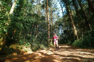 BIB: 
                            <button type="button" onclick="openModal(25004939)" class="btn btn-primary btn-sm float-right btn-popup" data-toggle="modal" data-target=".modal-high-quality">
                        <i class="fas fa-shopping-cart"></i> Add to Cart
                    </button>
                                            <button type="button" onclick="isThisMe(25004939, true)" class="btn btn-success btn-sm float-right btn-popup btn-isme hidden" data-toggle="tooltip" data-placement="bottom" title="นี่คือรูปของคุณใช่ไหม คลิกที่นี่เพื่อเอาเข้าอัลบั้ม">
                        <i class="fas fa-plus"></i> Add to album
                    </button>
                    <button type="button" onclick="isThisMe(25004939, false)" class="btn btn-warning btn-sm float-right btn-popup btn-isnotme hidden">
                        <i class="fas fa-ban"></i> Remove from album
                    </button>