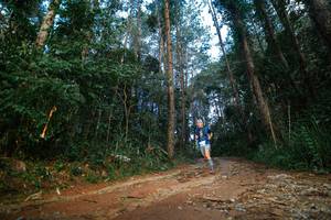 BIB: 
                            <button type="button" onclick="openModal(25004809)" class="btn btn-primary btn-sm float-right btn-popup" data-toggle="modal" data-target=".modal-high-quality">
                        <i class="fas fa-shopping-cart"></i> Add to Cart
                    </button>
                                            <button type="button" onclick="isThisMe(25004809, true)" class="btn btn-success btn-sm float-right btn-popup btn-isme hidden" data-toggle="tooltip" data-placement="bottom" title="นี่คือรูปของคุณใช่ไหม คลิกที่นี่เพื่อเอาเข้าอัลบั้ม">
                        <i class="fas fa-plus"></i> Add to album
                    </button>
                    <button type="button" onclick="isThisMe(25004809, false)" class="btn btn-warning btn-sm float-right btn-popup btn-isnotme hidden">
                        <i class="fas fa-ban"></i> Remove from album
                    </button>