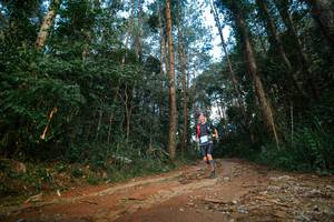 BIB: 
                            <button type="button" onclick="openModal(25004740)" class="btn btn-primary btn-sm float-right btn-popup" data-toggle="modal" data-target=".modal-high-quality">
                        <i class="fas fa-shopping-cart"></i> Add to Cart
                    </button>
                                            <button type="button" onclick="isThisMe(25004740, true)" class="btn btn-success btn-sm float-right btn-popup btn-isme hidden" data-toggle="tooltip" data-placement="bottom" title="นี่คือรูปของคุณใช่ไหม คลิกที่นี่เพื่อเอาเข้าอัลบั้ม">
                        <i class="fas fa-plus"></i> Add to album
                    </button>
                    <button type="button" onclick="isThisMe(25004740, false)" class="btn btn-warning btn-sm float-right btn-popup btn-isnotme hidden">
                        <i class="fas fa-ban"></i> Remove from album
                    </button>