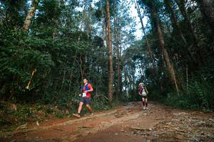 BIB: 
                            <button type="button" onclick="openModal(25004793)" class="btn btn-primary btn-sm float-right btn-popup" data-toggle="modal" data-target=".modal-high-quality">
                        <i class="fas fa-shopping-cart"></i> Add to Cart
                    </button>
                                            <button type="button" onclick="isThisMe(25004793, true)" class="btn btn-success btn-sm float-right btn-popup btn-isme hidden" data-toggle="tooltip" data-placement="bottom" title="นี่คือรูปของคุณใช่ไหม คลิกที่นี่เพื่อเอาเข้าอัลบั้ม">
                        <i class="fas fa-plus"></i> Add to album
                    </button>
                    <button type="button" onclick="isThisMe(25004793, false)" class="btn btn-warning btn-sm float-right btn-popup btn-isnotme hidden">
                        <i class="fas fa-ban"></i> Remove from album
                    </button>