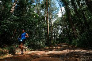 BIB: 
                            <button type="button" onclick="openModal(25003819)" class="btn btn-primary btn-sm float-right btn-popup" data-toggle="modal" data-target=".modal-high-quality">
                        <i class="fas fa-shopping-cart"></i> Add to Cart
                    </button>
                                            <button type="button" onclick="isThisMe(25003819, true)" class="btn btn-success btn-sm float-right btn-popup btn-isme hidden" data-toggle="tooltip" data-placement="bottom" title="นี่คือรูปของคุณใช่ไหม คลิกที่นี่เพื่อเอาเข้าอัลบั้ม">
                        <i class="fas fa-plus"></i> Add to album
                    </button>
                    <button type="button" onclick="isThisMe(25003819, false)" class="btn btn-warning btn-sm float-right btn-popup btn-isnotme hidden">
                        <i class="fas fa-ban"></i> Remove from album
                    </button>