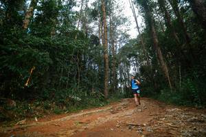 BIB: 
                            <button type="button" onclick="openModal(25004526)" class="btn btn-primary btn-sm float-right btn-popup" data-toggle="modal" data-target=".modal-high-quality">
                        <i class="fas fa-shopping-cart"></i> Add to Cart
                    </button>
                                            <button type="button" onclick="isThisMe(25004526, true)" class="btn btn-success btn-sm float-right btn-popup btn-isme hidden" data-toggle="tooltip" data-placement="bottom" title="นี่คือรูปของคุณใช่ไหม คลิกที่นี่เพื่อเอาเข้าอัลบั้ม">
                        <i class="fas fa-plus"></i> Add to album
                    </button>
                    <button type="button" onclick="isThisMe(25004526, false)" class="btn btn-warning btn-sm float-right btn-popup btn-isnotme hidden">
                        <i class="fas fa-ban"></i> Remove from album
                    </button>