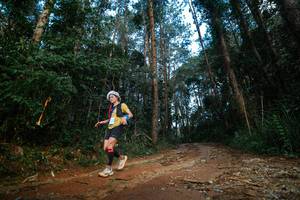 BIB: 
                            <button type="button" onclick="openModal(25004803)" class="btn btn-primary btn-sm float-right btn-popup" data-toggle="modal" data-target=".modal-high-quality">
                        <i class="fas fa-shopping-cart"></i> Add to Cart
                    </button>
                                            <button type="button" onclick="isThisMe(25004803, true)" class="btn btn-success btn-sm float-right btn-popup btn-isme hidden" data-toggle="tooltip" data-placement="bottom" title="นี่คือรูปของคุณใช่ไหม คลิกที่นี่เพื่อเอาเข้าอัลบั้ม">
                        <i class="fas fa-plus"></i> Add to album
                    </button>
                    <button type="button" onclick="isThisMe(25004803, false)" class="btn btn-warning btn-sm float-right btn-popup btn-isnotme hidden">
                        <i class="fas fa-ban"></i> Remove from album
                    </button>