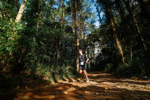 BIB: 
                            <button type="button" onclick="openModal(25005033)" class="btn btn-primary btn-sm float-right btn-popup" data-toggle="modal" data-target=".modal-high-quality">
                        <i class="fas fa-shopping-cart"></i> Add to Cart
                    </button>
                                            <button type="button" onclick="isThisMe(25005033, true)" class="btn btn-success btn-sm float-right btn-popup btn-isme hidden" data-toggle="tooltip" data-placement="bottom" title="นี่คือรูปของคุณใช่ไหม คลิกที่นี่เพื่อเอาเข้าอัลบั้ม">
                        <i class="fas fa-plus"></i> Add to album
                    </button>
                    <button type="button" onclick="isThisMe(25005033, false)" class="btn btn-warning btn-sm float-right btn-popup btn-isnotme hidden">
                        <i class="fas fa-ban"></i> Remove from album
                    </button>