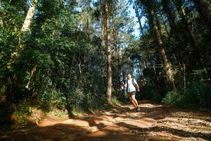 BIB: 
                            <button type="button" onclick="openModal(25004871)" class="btn btn-primary btn-sm float-right btn-popup" data-toggle="modal" data-target=".modal-high-quality">
                        <i class="fas fa-shopping-cart"></i> Add to Cart
                    </button>
                                            <button type="button" onclick="isThisMe(25004871, true)" class="btn btn-success btn-sm float-right btn-popup btn-isme hidden" data-toggle="tooltip" data-placement="bottom" title="นี่คือรูปของคุณใช่ไหม คลิกที่นี่เพื่อเอาเข้าอัลบั้ม">
                        <i class="fas fa-plus"></i> Add to album
                    </button>
                    <button type="button" onclick="isThisMe(25004871, false)" class="btn btn-warning btn-sm float-right btn-popup btn-isnotme hidden">
                        <i class="fas fa-ban"></i> Remove from album
                    </button>