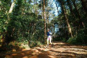 BIB: 
                            <button type="button" onclick="openModal(25004951)" class="btn btn-primary btn-sm float-right btn-popup" data-toggle="modal" data-target=".modal-high-quality">
                        <i class="fas fa-shopping-cart"></i> Add to Cart
                    </button>
                                            <button type="button" onclick="isThisMe(25004951, true)" class="btn btn-success btn-sm float-right btn-popup btn-isme hidden" data-toggle="tooltip" data-placement="bottom" title="นี่คือรูปของคุณใช่ไหม คลิกที่นี่เพื่อเอาเข้าอัลบั้ม">
                        <i class="fas fa-plus"></i> Add to album
                    </button>
                    <button type="button" onclick="isThisMe(25004951, false)" class="btn btn-warning btn-sm float-right btn-popup btn-isnotme hidden">
                        <i class="fas fa-ban"></i> Remove from album
                    </button>