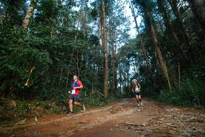 BIB: 
                            <button type="button" onclick="openModal(25004795)" class="btn btn-primary btn-sm float-right btn-popup" data-toggle="modal" data-target=".modal-high-quality">
                        <i class="fas fa-shopping-cart"></i> Add to Cart
                    </button>
                                            <button type="button" onclick="isThisMe(25004795, true)" class="btn btn-success btn-sm float-right btn-popup btn-isme hidden" data-toggle="tooltip" data-placement="bottom" title="นี่คือรูปของคุณใช่ไหม คลิกที่นี่เพื่อเอาเข้าอัลบั้ม">
                        <i class="fas fa-plus"></i> Add to album
                    </button>
                    <button type="button" onclick="isThisMe(25004795, false)" class="btn btn-warning btn-sm float-right btn-popup btn-isnotme hidden">
                        <i class="fas fa-ban"></i> Remove from album
                    </button>