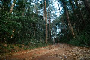 BIB: 
                            <button type="button" onclick="openModal(25004790)" class="btn btn-primary btn-sm float-right btn-popup" data-toggle="modal" data-target=".modal-high-quality">
                        <i class="fas fa-shopping-cart"></i> Add to Cart
                    </button>
                                            <button type="button" onclick="isThisMe(25004790, true)" class="btn btn-success btn-sm float-right btn-popup btn-isme hidden" data-toggle="tooltip" data-placement="bottom" title="นี่คือรูปของคุณใช่ไหม คลิกที่นี่เพื่อเอาเข้าอัลบั้ม">
                        <i class="fas fa-plus"></i> Add to album
                    </button>
                    <button type="button" onclick="isThisMe(25004790, false)" class="btn btn-warning btn-sm float-right btn-popup btn-isnotme hidden">
                        <i class="fas fa-ban"></i> Remove from album
                    </button>