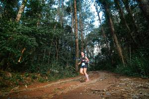 BIB: 
                            <button type="button" onclick="openModal(25004735)" class="btn btn-primary btn-sm float-right btn-popup" data-toggle="modal" data-target=".modal-high-quality">
                        <i class="fas fa-shopping-cart"></i> Add to Cart
                    </button>
                                            <button type="button" onclick="isThisMe(25004735, true)" class="btn btn-success btn-sm float-right btn-popup btn-isme hidden" data-toggle="tooltip" data-placement="bottom" title="นี่คือรูปของคุณใช่ไหม คลิกที่นี่เพื่อเอาเข้าอัลบั้ม">
                        <i class="fas fa-plus"></i> Add to album
                    </button>
                    <button type="button" onclick="isThisMe(25004735, false)" class="btn btn-warning btn-sm float-right btn-popup btn-isnotme hidden">
                        <i class="fas fa-ban"></i> Remove from album
                    </button>