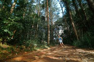 BIB: 
                            <button type="button" onclick="openModal(25004686)" class="btn btn-primary btn-sm float-right btn-popup" data-toggle="modal" data-target=".modal-high-quality">
                        <i class="fas fa-shopping-cart"></i> Add to Cart
                    </button>
                                            <button type="button" onclick="isThisMe(25004686, true)" class="btn btn-success btn-sm float-right btn-popup btn-isme hidden" data-toggle="tooltip" data-placement="bottom" title="นี่คือรูปของคุณใช่ไหม คลิกที่นี่เพื่อเอาเข้าอัลบั้ม">
                        <i class="fas fa-plus"></i> Add to album
                    </button>
                    <button type="button" onclick="isThisMe(25004686, false)" class="btn btn-warning btn-sm float-right btn-popup btn-isnotme hidden">
                        <i class="fas fa-ban"></i> Remove from album
                    </button>