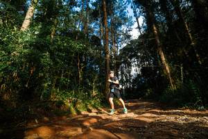 BIB: 
                            <button type="button" onclick="openModal(25005055)" class="btn btn-primary btn-sm float-right btn-popup" data-toggle="modal" data-target=".modal-high-quality">
                        <i class="fas fa-shopping-cart"></i> Add to Cart
                    </button>
                                            <button type="button" onclick="isThisMe(25005055, true)" class="btn btn-success btn-sm float-right btn-popup btn-isme hidden" data-toggle="tooltip" data-placement="bottom" title="นี่คือรูปของคุณใช่ไหม คลิกที่นี่เพื่อเอาเข้าอัลบั้ม">
                        <i class="fas fa-plus"></i> Add to album
                    </button>
                    <button type="button" onclick="isThisMe(25005055, false)" class="btn btn-warning btn-sm float-right btn-popup btn-isnotme hidden">
                        <i class="fas fa-ban"></i> Remove from album
                    </button>